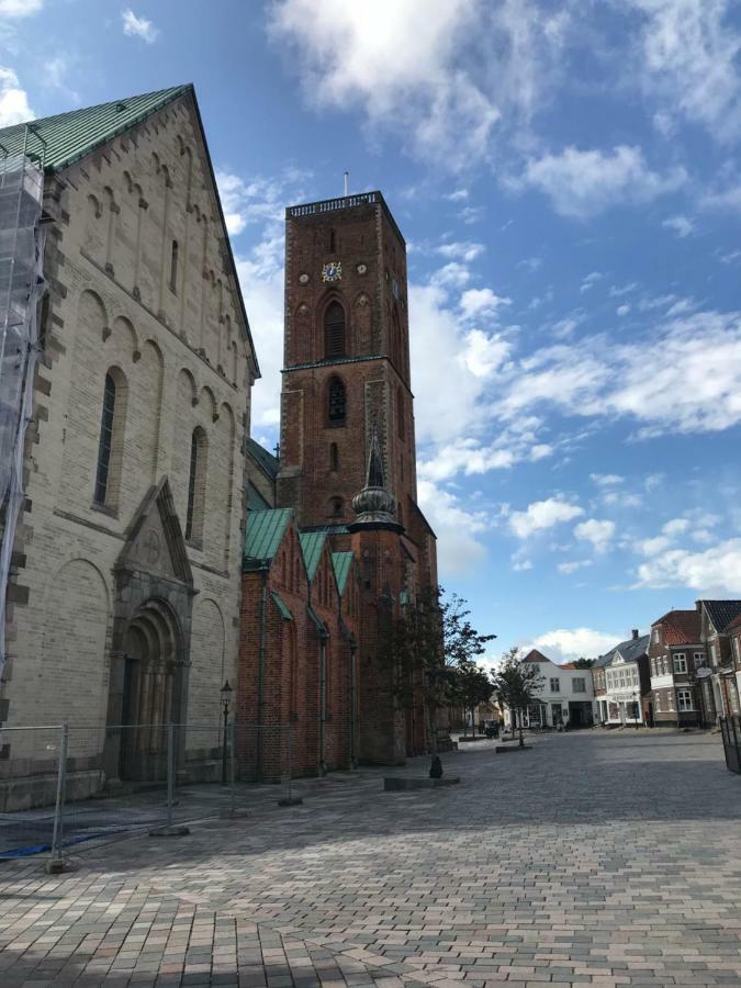 Ribe Sonderport Bed & Kitchen Lägenhet Exteriör bild